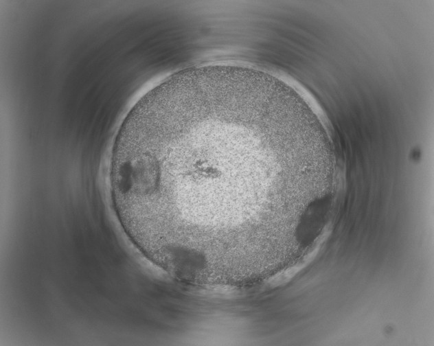 X0000116610957201001221316