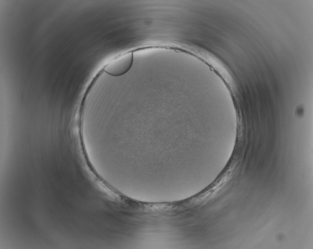 X0000116610958201001221316