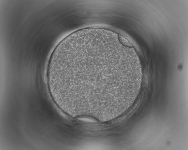 X0000116610959201001221316