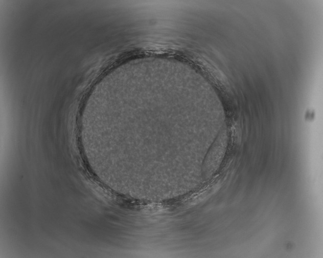 X0000116610961201001221315