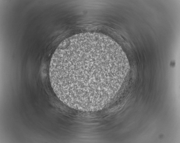 X0000116610962201001221315