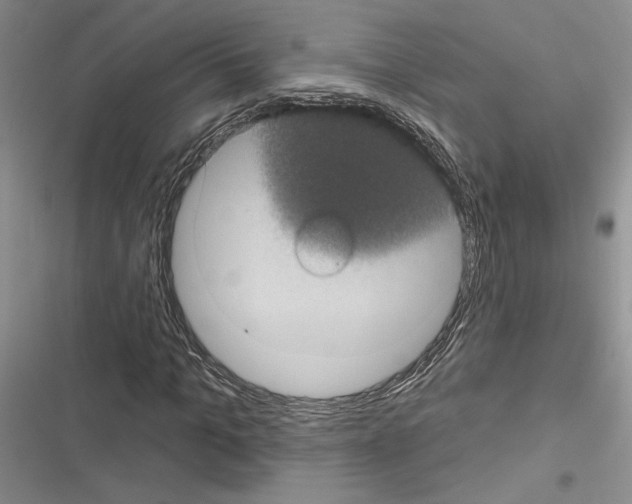 X0000116610965201001221315