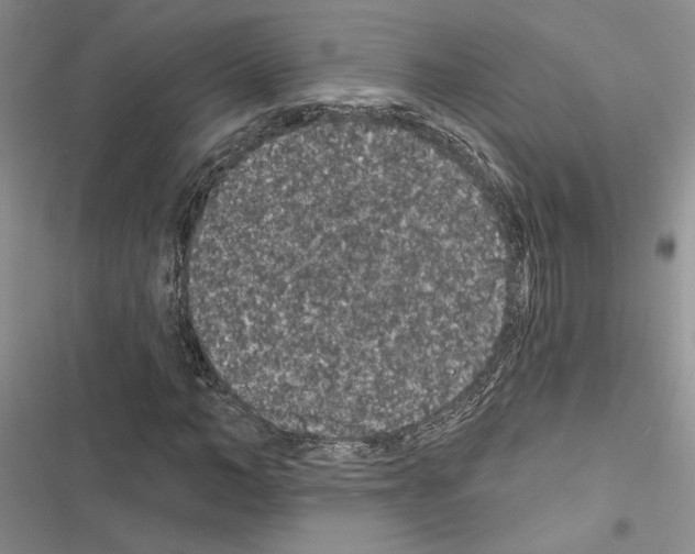 X0000116610966201001221315