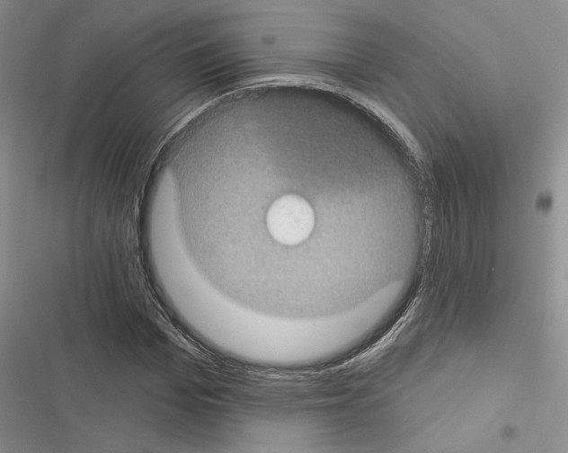 X0000116610969201001221315