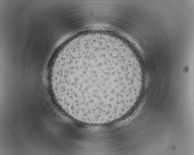 X0000116610970201001221315