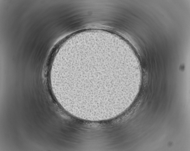 X0000116610971201001221315