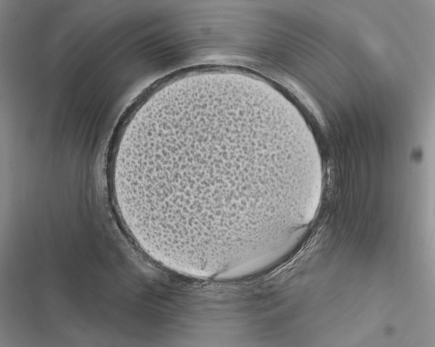 X0000116610972201001221315