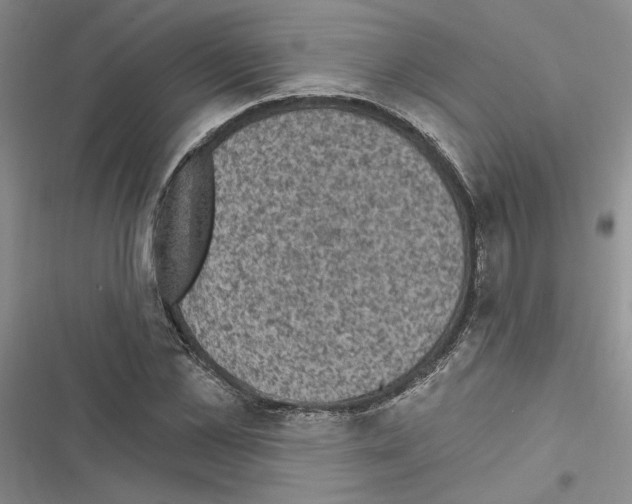 X0000116610973201001221315