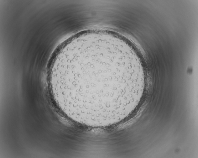 X0000116610974201001221315