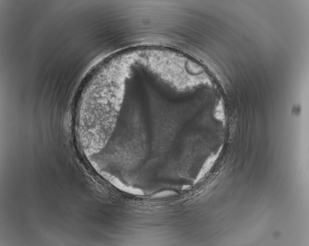 X0000116610975201001221315