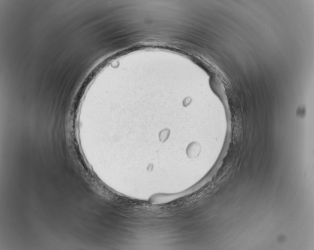 X0000116610976201001221315