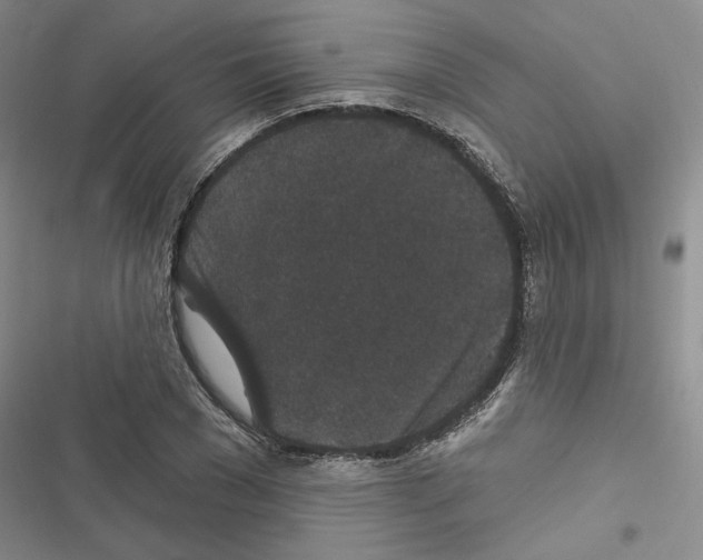 X0000116610977201001221315