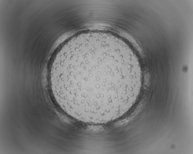 X0000116610978201001221315