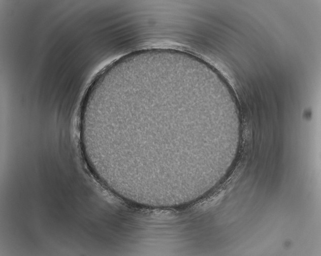 X0000116610979201001221315