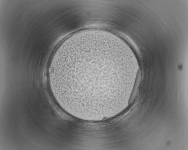 X0000116610980201001221315