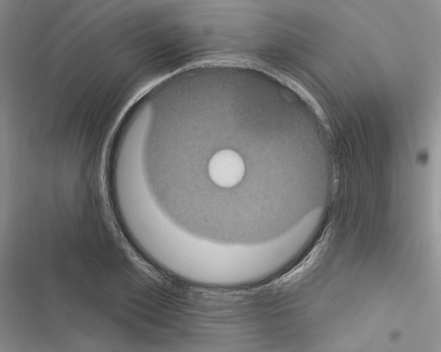 X0000116610981201001221315