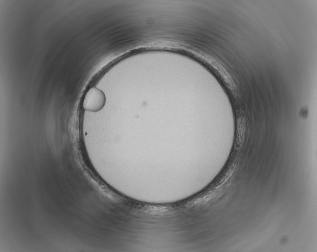 X0000116610982201001221315