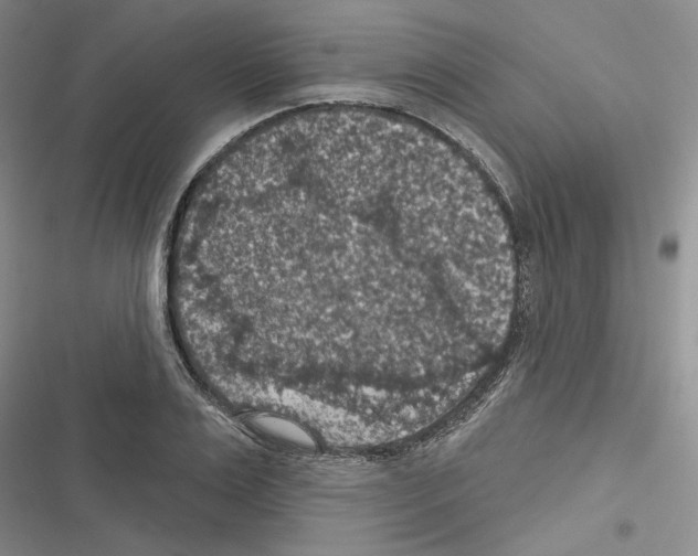 X0000116610983201001221315