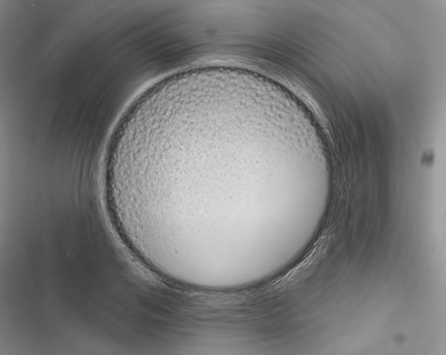 X0000116610984201001221315