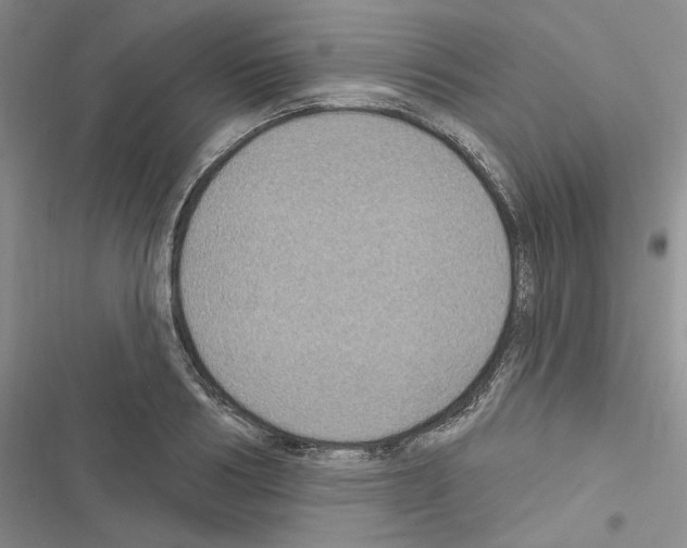 X0000116610986201001221315