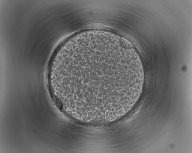 X0000116610987201001221315