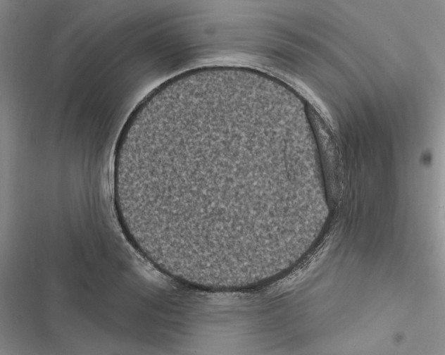 X0000116610988201001221315