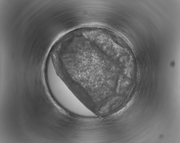 X0000116610989201001221315