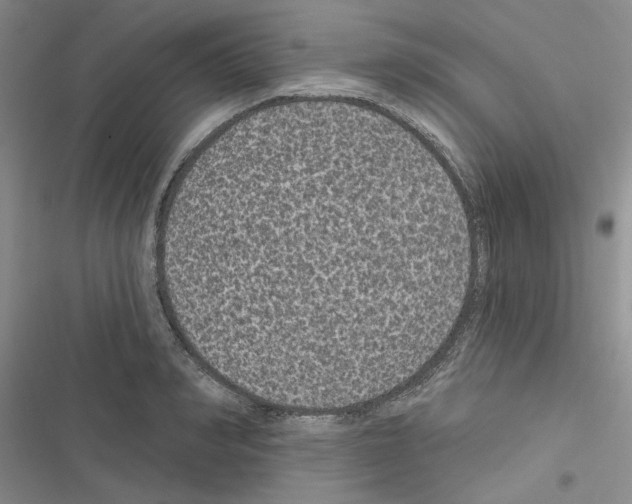 X0000116610990201001221315