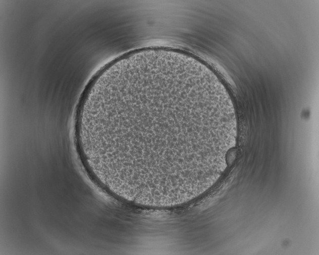 X0000116610991201001221315