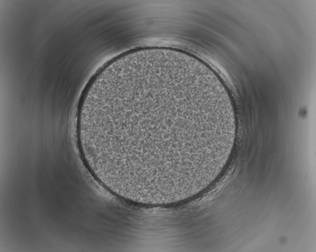 X0000116610992201001221315