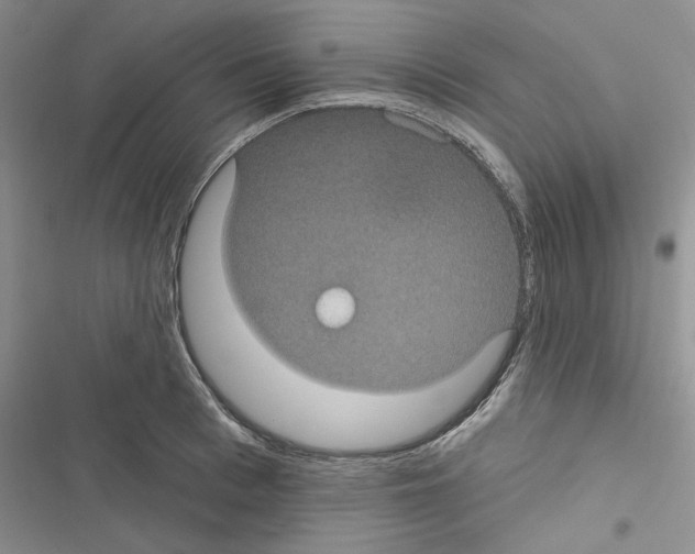 X0000116610993201001221315