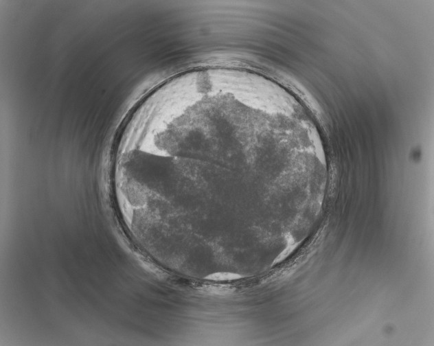 X0000116610994201001221315