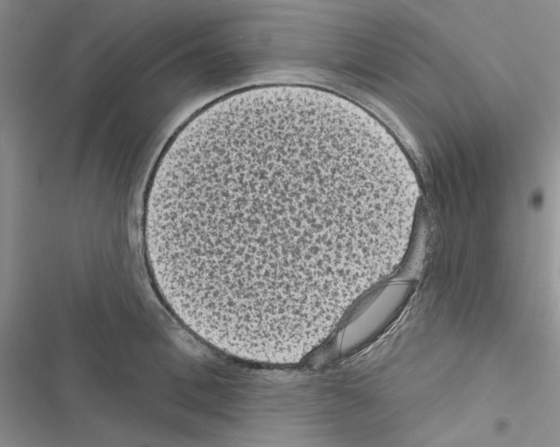 X0000116610996201001221315