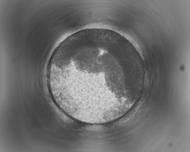 X0000116610998201001221315