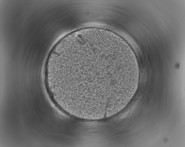 X0000116610999201001221315