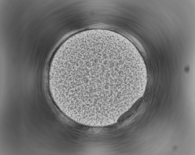 X0000116611000201001221315