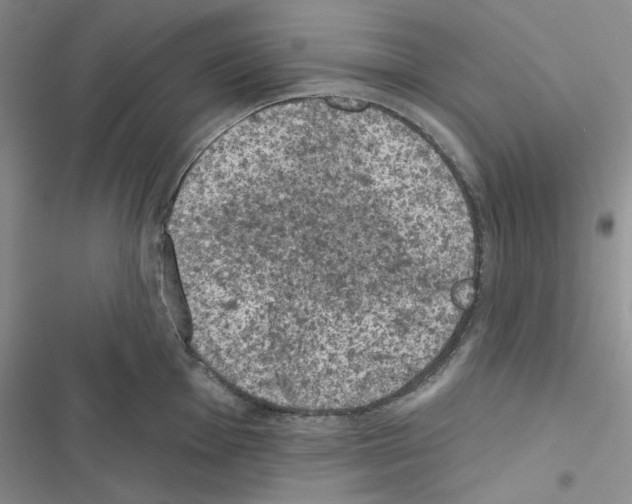 X0000116611001201001221315