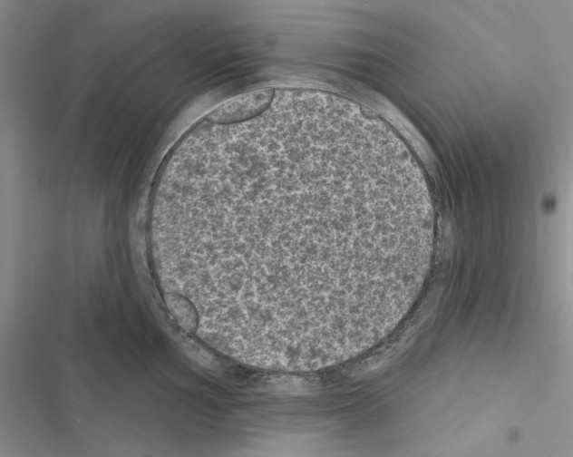 X0000116611002201001221315