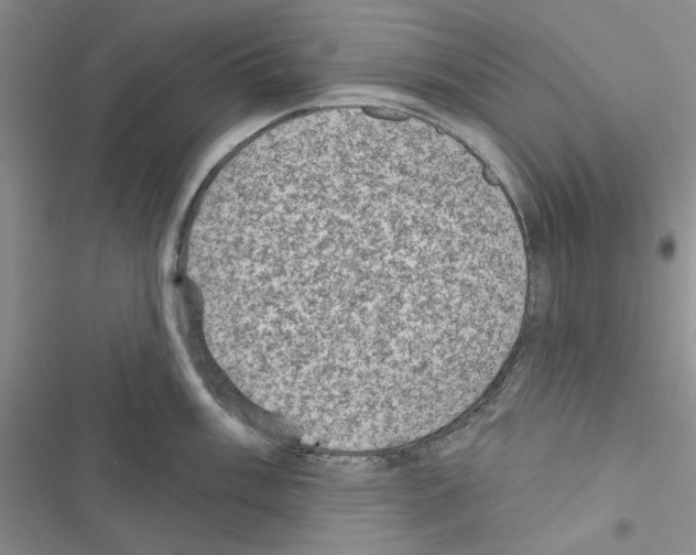 X0000116611003201001221315