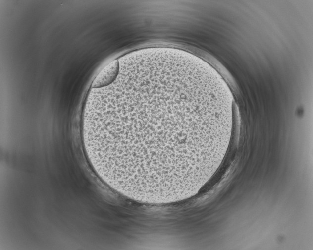 X0000116611004201001221315