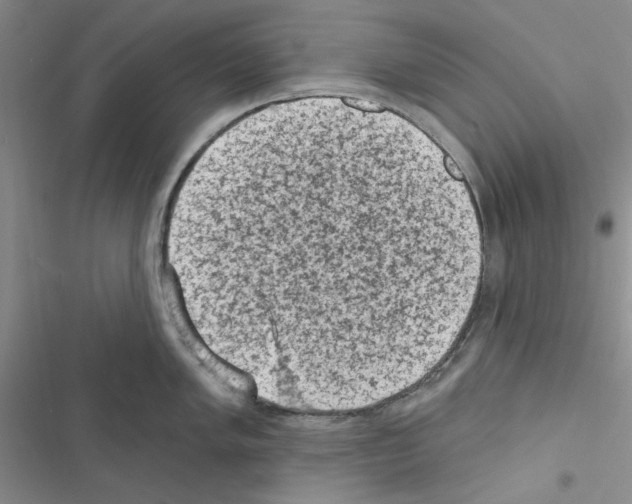 X0000116611005201001221315