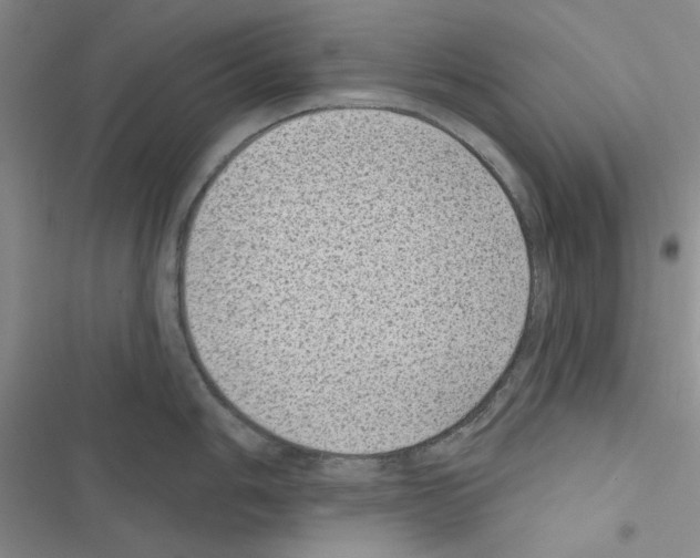 X0000116611006201001221315