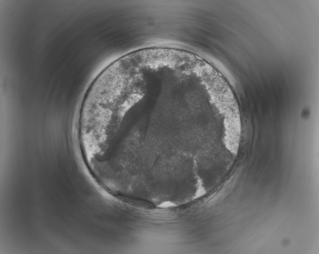 X0000116611007201001221315