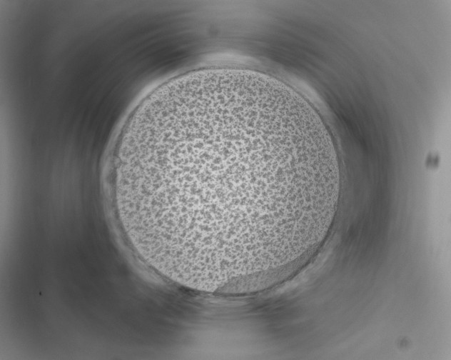 X0000116611008201001221315