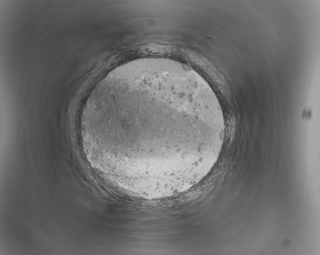 X0000116611009201001221314