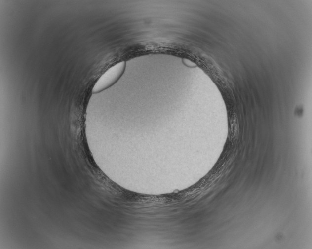 X0000116611012201001221314