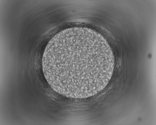 X0000116611014201001221314