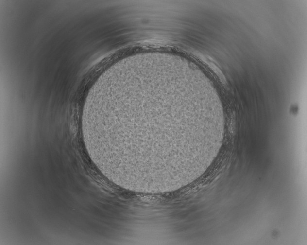 X0000116611015201001221314