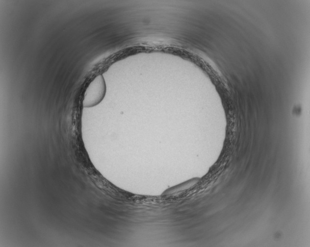 X0000116611016201001221314