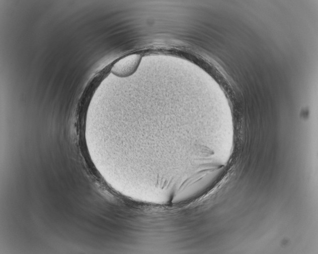 X0000116611018201001221314